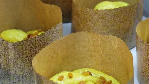 Process of preparation of Christmas or Easter cakes with chocolate, Stock Footage 297073309