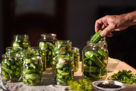 The process of preparation of salty cucumbers for canning, Ukraine Foto stock