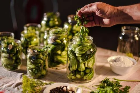 The process of preparation of salty cucumbers for canning, Ukraine Fotos Stock