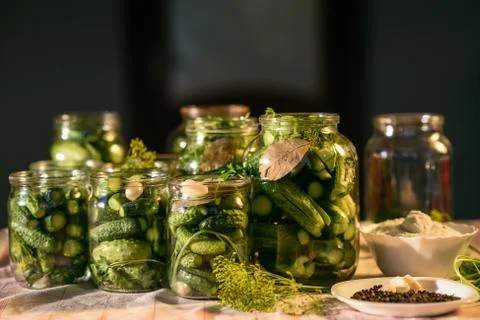 The process of preparation of salty cucumbers for canning, Ukraine Fotos Stock