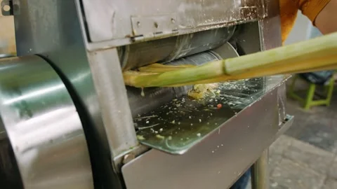 Process preparation sugarcane juice with press machine in a street market, .. Stock Footage 336985802