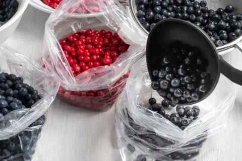 Process of preparing berries for freezing - folding into packages Stock Photos