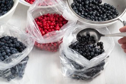 Process of preparing berries for freezing - folding into bags Stock Photos