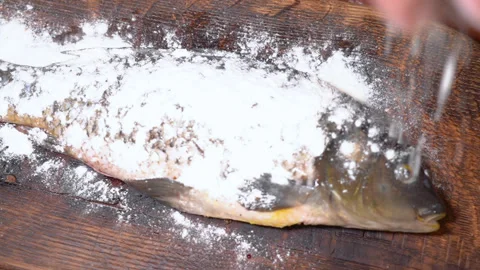 The process of preparing carp for frying in a frying pan, sprinkled with flour Stock Footage 251877755