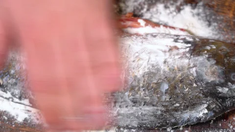 The process of preparing carp for frying in a frying pan, sprinkled with flour Stockbeeldmateriaal 251877793