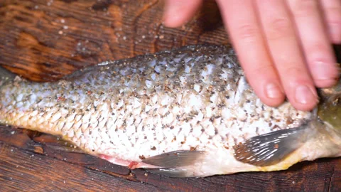 The process of preparing carp for frying in a frying pan Stock Footage 251948894