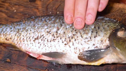 The process of preparing carp for frying in a frying pan Stock Footage 251948906