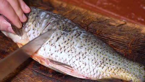The process of preparing carp for frying in a frying pan Stock Footage 251948976