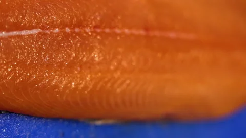 Process of preparing catering plastic mini cups Stock-Footage 262988813