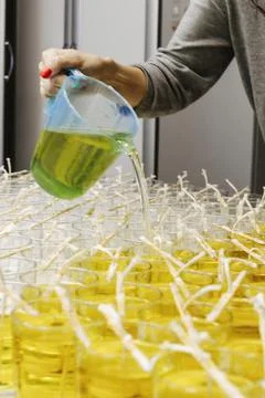 Process of preparing cozy candles Foto stock