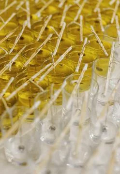 Process of preparing cozy candles Stock Photos