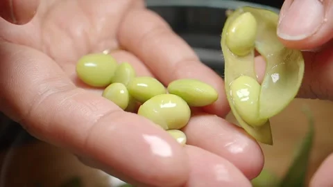 Process of preparing fresh edamame at home in the kitchen Stock Footage 337058686