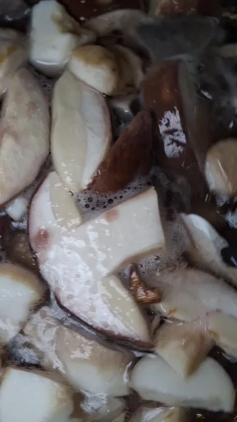 Process of preparing mushrooms Vídeos de archivo 346681601