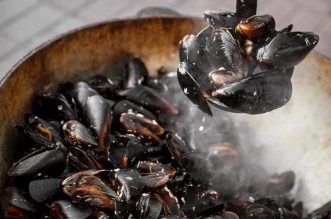 The process of preparing mussels in a large saucepan. Street food with seafoo Stock Photos