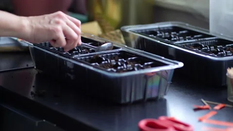 The process of preparing for planting seeds in a black plastic container. Stock-Footage 130348874