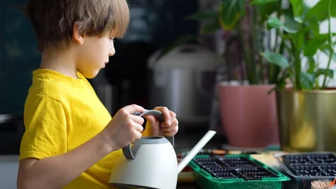 The process of preparing for planting seeds. Boy watering seedlings from a Stock Footage 129290617
