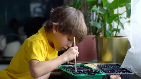 The process of preparing for planting seeds. Stock-Footage 127319355