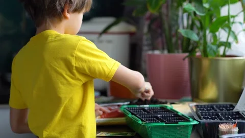 The process of preparing for planting seeds in a green plastic container. Stock Footage 130638235