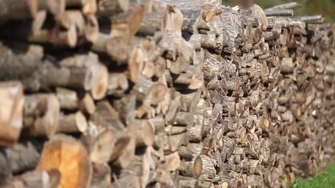 The process of preparing round lumber logs. Lumber wood industry log. Logs along Stock Footage 148666204