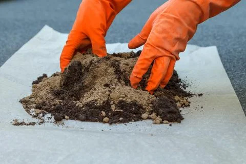 The process of preparing the soil for planting indoor plants 스톡 사진