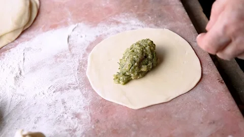 The process of preparing the test for manta rays. Stock Footage 130275369