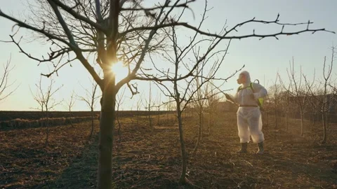 The process of processing garden trees in spring. Video stock 229960058