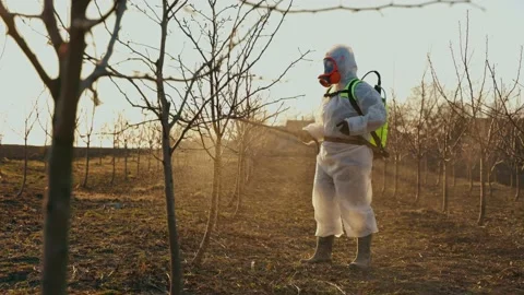 The process of processing garden trees in spring. Stock-Footage 237534779