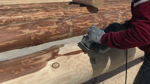 The process of processing logs from the bark with a grinding hand tool. Stock-Footage 219576139