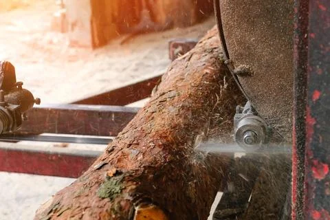 The process of processing logs on the equipment of a sawmill cuts a tree trunk Stock Photos