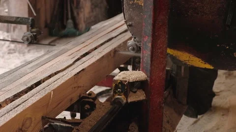 The process of processing pine wood on a sawmill at a wood production plant Stock Footage 172291765