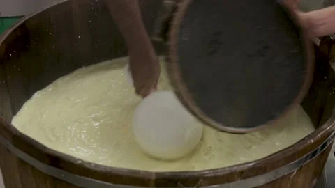 Process production mozzarella cheese making manually cheese Stock Footage 170373538