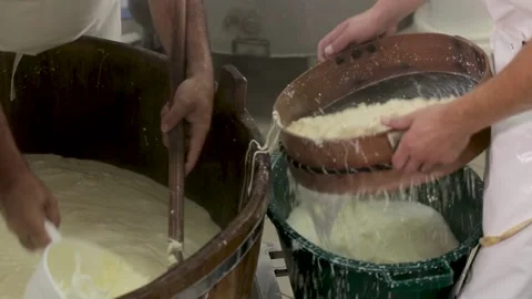 Process production mozzarella cheese making manually cheese Stock Footage 170373644