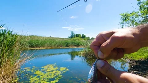 Process put on a lure 库存影片 196803527