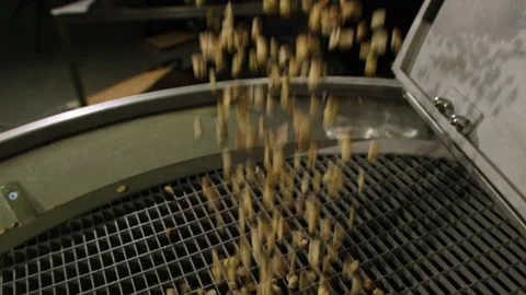 Process of putting raw coffee beans into roasting machine Stock Footage 266149408