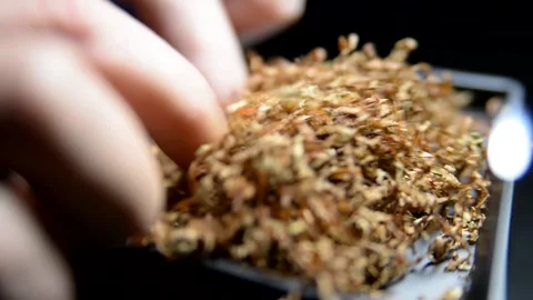 The process of putting tobacco into cigarette cases with a semi-automatic Stock Footage 223882511