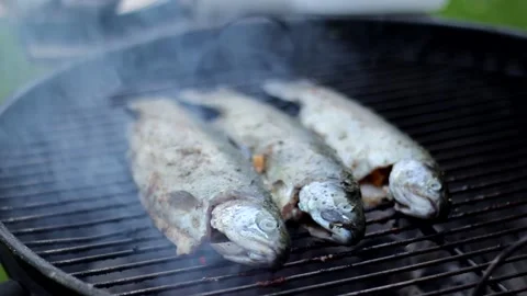 The process of putting trout on the grill grate Stock Footage 140790928