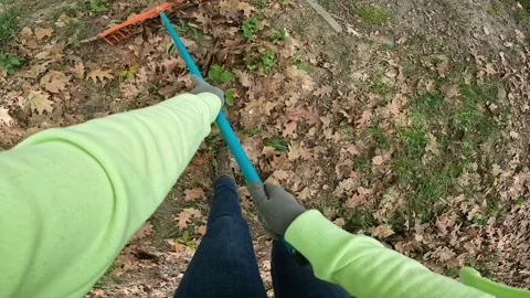 The process of raking fallen leaves with a rake 스톡 동영상 335368350