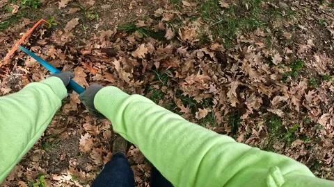 The process of raking fallen leaves with a rake Vídeos de archivo 335368381