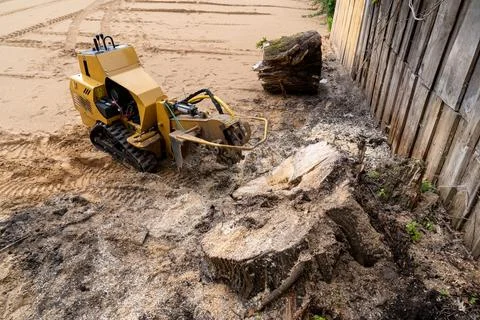The process of removing a tree stump where the rotating head of the stump cut Stock Photos