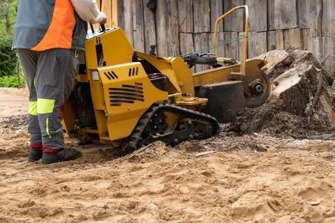 The process of removing a tree stump where the rotating head of the stump cut Stock Photos