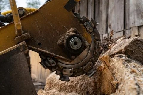 The process of removing a tree stump where the rotating head of the stump cut Stock Photos