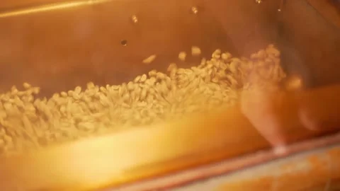 Process of roasting in coffee roasting oven Stock Footage 143869246