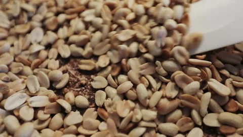 The process of roasting peanuts. Stock Footage 136676377