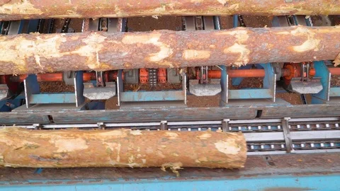 The process of rolling the logs one by one to the machine Видео 74864564
