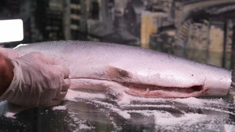 the process of salting red fish salmon p... | Stock Video | Pond5