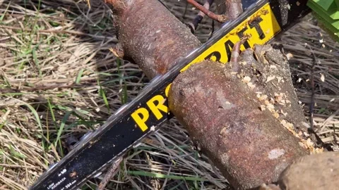 The process of sawing dry wood using a Procraft chainsaw Stock Footage 335283337