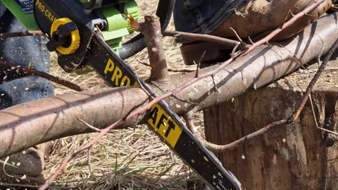 The process of sawing dry wood using a Procraft chainsaw Stock Footage 335283366