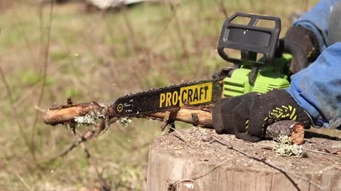 The process of sawing dry wood using a Procraft chainsaw Видео 335283368