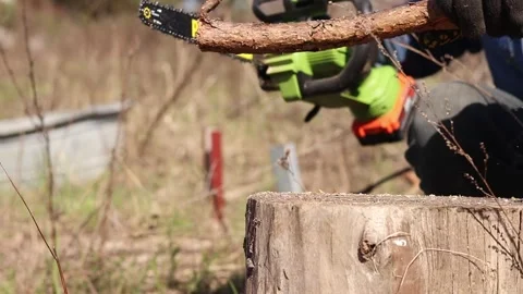 The process of sawing dry wood using a Procraft chainsaw Vídeos de archivo 335283389