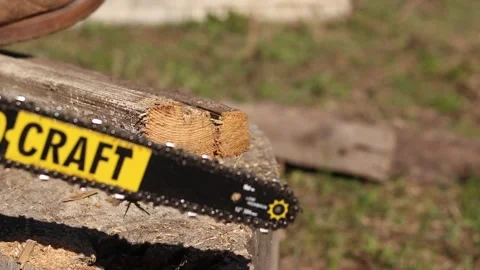 The process of sawing dry wood using a Procraft chainsaw Stock Footage 335283453